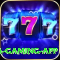 baji Mega Gaming App